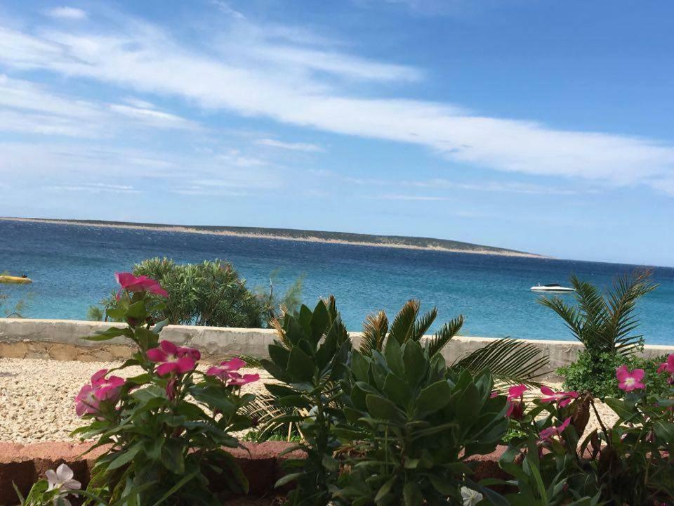 Apartmani Filip Mandre Εξωτερικό φωτογραφία